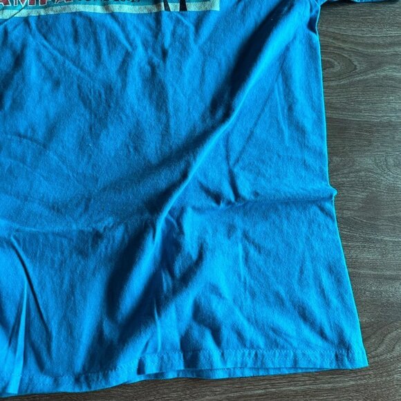 Hanes 2018 Awhonn Convention Tampa Florida Teal T-shirt Size L - Picture 6 of 14